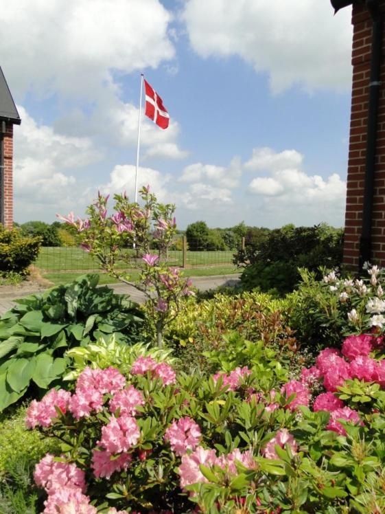 Lyngvej 16 B&B Skanderborg Exteriér fotografie