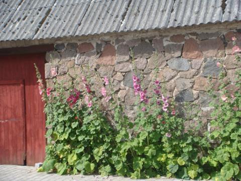 Lyngvej 16 B&B Skanderborg Exteriér fotografie