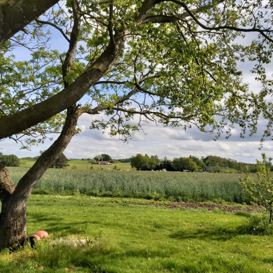 Lyngvej 16 B&B Skanderborg Exteriér fotografie